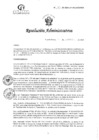 Vista preliminar de documento R33
