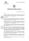 Vista preliminar de documento R36