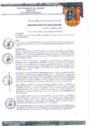 Vista preliminar de documento ORDENANZA MUNICIPAL Nº 016-2022-MDS