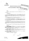 Vista preliminar de documento N°49-2020-PATPAL-FBB-MML 