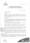Vista preliminar de documento N°54-2020-PATPAL-FBB-MML 
