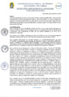 Vista preliminar de documento RAF N° 017-2024