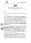 Vista preliminar de documento R55