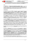 Vista preliminar de documento 524