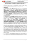Vista preliminar de documento 525