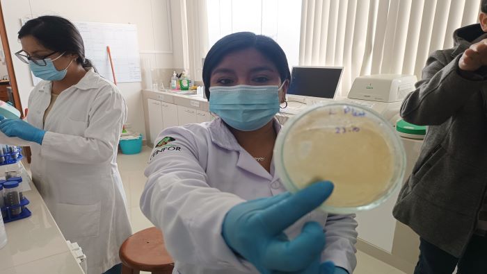 Muestran trabajo de laboratorio