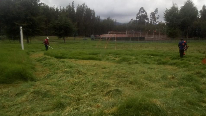 Realizan podado de campo