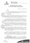 Vista preliminar de documento N°88-2020-PATPAL-FBB-MML 