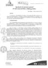 Vista preliminar de documento N°89-2020-PATPAL-FBB-MML 