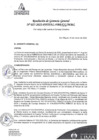 Vista preliminar de documento N°27-2022-PATPAL-FBB-MML 