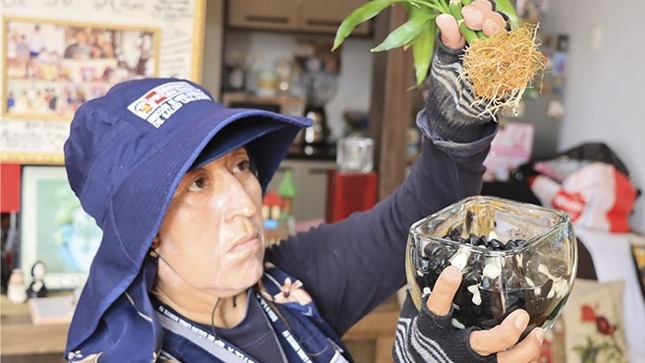Más de 26 000 viviendas de Lima norte serán inspeccionadas en la lucha contra el dengue