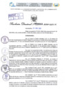 Vista preliminar de documento Resolución Directoral. N° 0553 - 2024 