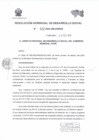 Vista preliminar de documento  RESOLUCION GERENCIAL REGIONAL DE DESARROLLO SOCIAL    22