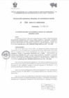 Vista preliminar de documento  RESOLUCION GERENCIAL REGIONAL DE DESARROLLO SOCIAL    84