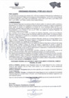 Vista preliminar de documento ORDENANZA REGIONAL   383