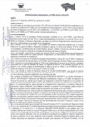 Vista preliminar de documento ORDENANZA REGIONAL  386