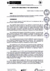 Vista preliminar de documento rd51-2024