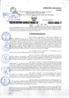 Vista preliminar de documento R.D 02029-2023