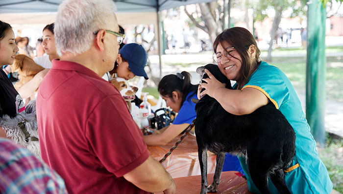 la Municipalidad de Surquillo registró 1044 atenciones de servicios en la campaña veterinaria “Pet Love” desarrollada en el parque Guardia Civil con el fin de proteger y cuidar a nuestros engreídos de cuatro patas.