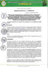 Vista preliminar de documento ORDENANZA 019