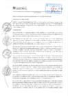 Vista preliminar de documento RGM-014-2024-MDJM