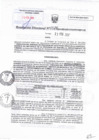 Vista preliminar de documento RD N°0029
