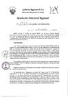 Vista preliminar de documento RDR-1728-2023