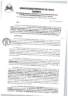 Vista preliminar de documento RG 103-2024