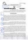Vista preliminar de documento R.D 02043-2023