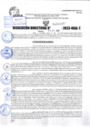 Vista preliminar de documento R.D 02052-2023