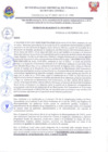 Vista preliminar de documento DA_N01-2024-MDP-A