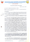 Vista preliminar de documento Resolución 133