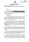 Vista preliminar de documento RJ NRO 33-2024