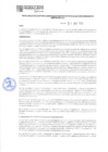 Vista preliminar de documento PAS230007