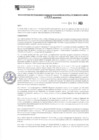 Vista preliminar de documento PAS230035