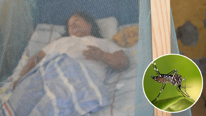 Diresa pide identificar signos de alarma de dengue para evitar muertes