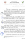 Vista preliminar de documento RESOLUCIÓN DE GERENCIA N° 005