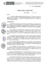 Vista preliminar de documento RD-41-2024-DE-HEVES