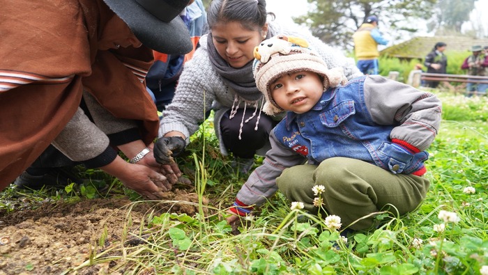 Con pagapu Electrocentro y la municipalidad de Chilca reforestan Mirador Turístico de Tanquiscancha