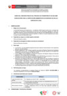 Vista preliminar de documento BASES CAS N° 024-2024-ANIN