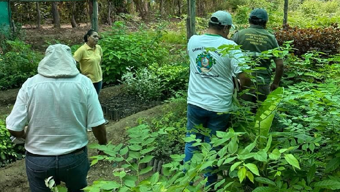Agencia Agraria del Chira