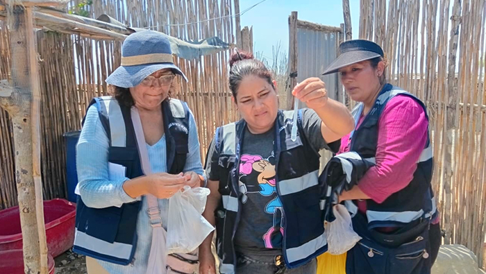Inician labores de control larvario en San José 