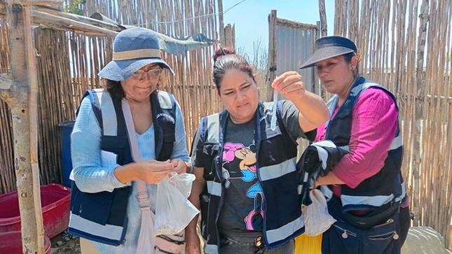 Inician labores de control larvario en San José 