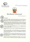 Vista preliminar de documento RD N° 305-12-2023-DE-HCLLH-MINSA
