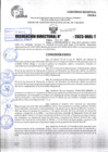 Vista preliminar de documento R.D 02075-2023