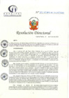 Vista preliminar de documento RD N° 25-01-2024-DE-HCLLH-MINSA