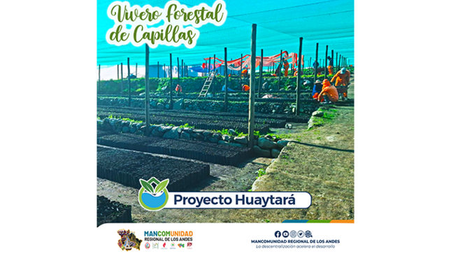 Vivero forestal