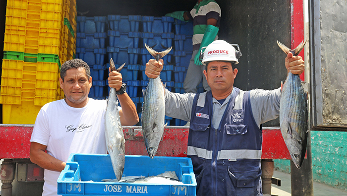 Vecinos de San Jacinto se benefician con reparto de pescado Bonito