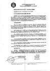 Vista preliminar de documento PIA 2021