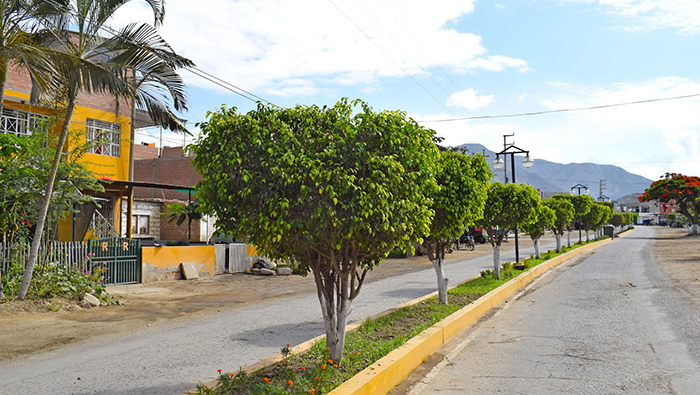 Municipio de Nepeña recupera áreas verdes y mejora ornato en el C.P. San José